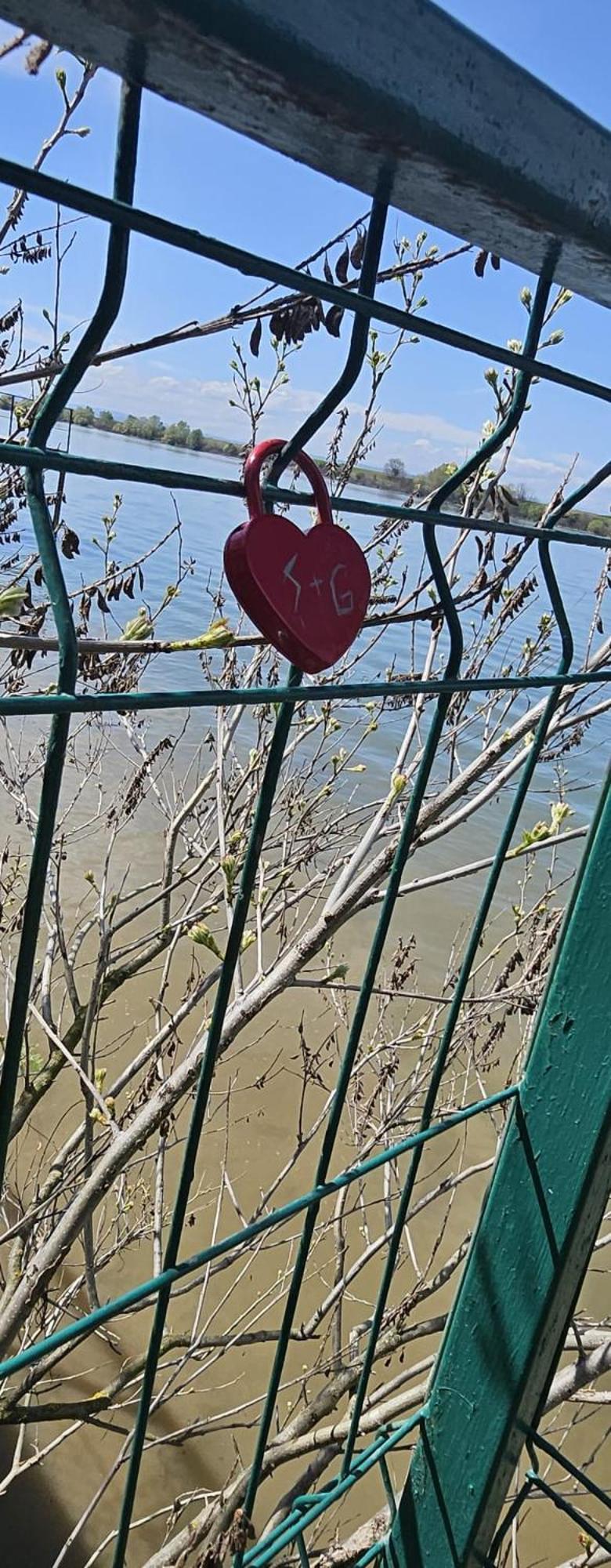 Danube Home Ostrovu Corbului Buitenkant foto